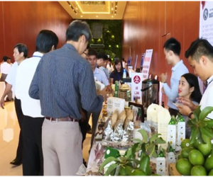 KHUYẾN CÔNG ĐỒNG NAI THAM GIA HỘI CHỢ TRIỂN LÃM HÀNG CÔNG NGHIỆP NÔNG THÔN TIÊU BIỂU KHU VỰC MIỀN TRUNG VÀ TÂY NGUYÊN NĂM 2018 TẠI THÀNH PHỐ TUY HÒA, TỈNH PHÚ YÊN.