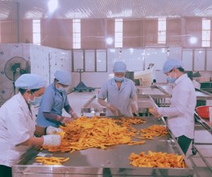 NÂNG CAO HIỆU QUẢ QUẢN LÝ NHÀ NƯỚC NGÀNH CÔNG THƯƠNG QUA TRIỂN KHAI HOẠT ĐỘNG KHUYẾN CÔNG