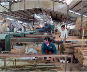 Đạt Chứng nhận sản phẩm công nghiệp nông thôn tiêu biểu cấp quốc gia - Doanh nghiệp kỳ vọng mở rộng thị trường