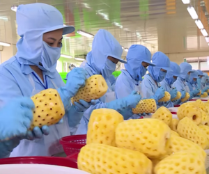 Khuyến Công Đồng Nai Góp Phần Thúc Đẩy Công Nghiệp Nông Thôn Chế BIến Sâu