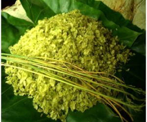 CƠ SỞ CỐM DẸP NGUYỄN ANH TRÍ