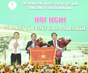 Tổng công ty Cao su Đồng Nai: Linh hoạt các giải pháp, đột phá trong sản xuất kinh doanh