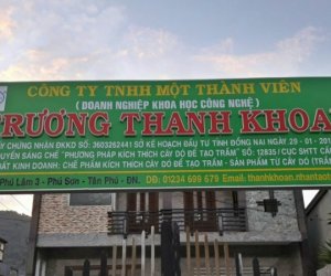 TINH DẦU TRẦM THANH KHOAN –  NIỀM TỰ HÀO CỦA PHỐ NÚI TÂN  PHÚ