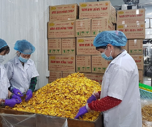 Khuyến công Đồng Tháp thúc đẩy phát triển sản xuất công nghiệp nông thôn