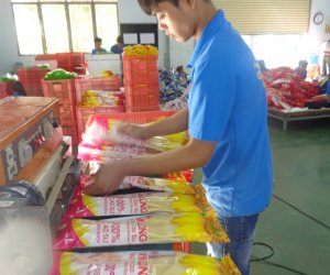 Một số định hướng phát triển ngành nghề công nghiệp, tiểu thủ công nghiệp trên địa bàn huyện Long Thành.