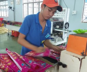 Hỗ trợ mô hình trình diễn kỹ thuật ứng dụng máy móc thiết bị tiên tiến cho cơ sở công nghiệp nông thôn giai đoạn 2016-2020