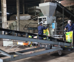 Đồng Nai: Ban hành Kế hoạch thực hiện nhiệm vụ sản xuất và tiêu dùng bền vững trong công nghiệp trên địa bàn tỉnh Đồng năm 2022.