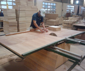 ĐẨY MẠNH CHUYỂN ĐỔI SANG MÔ HÌNH DOANH NGHIỆP