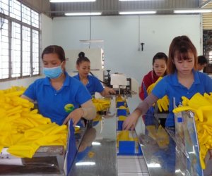 Kế hoạch phúc tra, khảo sát năng lực sản xuất, sửa chữa  doanh nghiệp công nghiệp trên địa  bàn thành phố năm 2026.