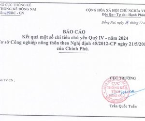 SỐ LIỆU THỐNG KÊ QUÝ IV NĂM 2024