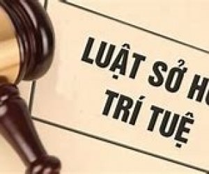 Mời tham gia Cuộc thi “Tìm hiểu pháp luật về Sở hữu trí tuệ năm 2023”