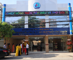 ĐỒNG NAI CHÚ TRỌNG CÔNG TÁC PHÁT TRIỂN SẢN PHẨM CÔNG NGHIỆP NÔNG THÔN TIÊU BIỂU